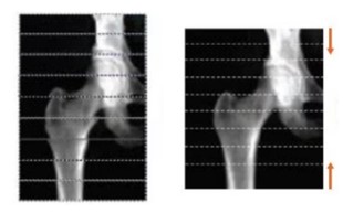 Technical Tips_detector array05.jpg